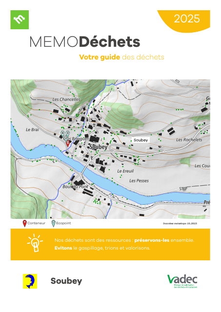 Soubey.2025.pdf